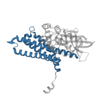 The deposited structure of PDB entry 4xvx contains 2 copies of CATH domain 1.20.140.10 (Butyryl-CoA Dehydrogenase, subunit A; domain 3) in Acyl-[acyl-carrier-protein] dehydrogenase MbtN. Showing 1 copy in chain B.