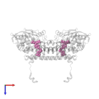 DIHYDROFLAVINE-ADENINE DINUCLEOTIDE in PDB entry 4xvx, assembly 2, top view.