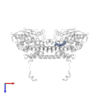 HEXAETHYLENE GLYCOL in PDB entry 4xvx, assembly 2, top view.