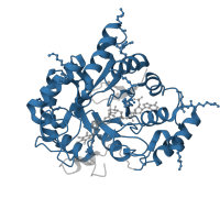 The deposited structure of PDB entry 4xzl contains 1 copy of Pfam domain PF00248 (Aldo/keto reductase family) in Aldo-keto reductase family 1 member B10. Showing 1 copy in chain A [auth X].