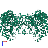 1-deoxy-D-xylulose 5-phosphate reductoisomerase, apicoplastic in PDB entry 4y67, assembly 1, top view.