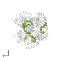 [(2S,3R,4R,5R)-5-[[[[(2R,3S,4R,5R)-5-(6-aminopurin-9-yl)-3,4-bis(oxidanyl)oxolan-2-yl]methoxy-oxidanyl-phosphoryl]oxy-oxidanyl-phosphoryl]oxymethyl]-2,4-bis(oxidanyl)oxolan-3-yl] tetradecanoate in PDB entry 4y6q, assembly 1, side view.