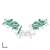 Growth/differentiation factor 2 in PDB entry 4yci, assembly 1, front view.