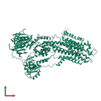 Sarcoplasmic/endoplasmic reticulum calcium ATPase 1 in PDB entry 4ycn, assembly 1, front view.