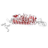 The deposited structure of PDB entry 4yej contains 1 copy of CATH domain 2.160.20.10 (Pectate Lyase C-like) in Bacteriophage P22 tailspike N-terminal domain-containing protein. Showing 1 copy in chain A.