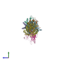 PDB entry 4yj3 coloured by chain, side view.