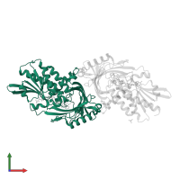 D-amino-acid oxidase in PDB entry 4yjf, assembly 1, front view.