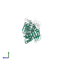 D-amino-acid oxidase in PDB entry 4yjf, assembly 1, side view.