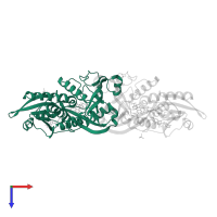 D-amino-acid oxidase in PDB entry 4yjf, assembly 1, top view.