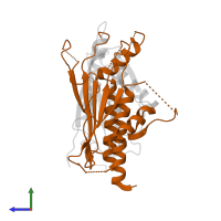 Autophagy protein 13 in PDB entry 4yk8, assembly 1, side view.