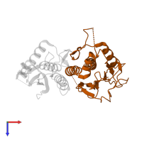 Autophagy protein 13 in PDB entry 4yk8, assembly 1, top view.