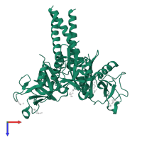 Collectin-11 in PDB entry 4yli, assembly 1, top view.