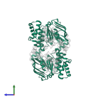 ABC transporter domain-containing protein in PDB entry 4ymt, assembly 1, side view.