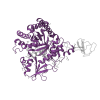 The deposited structure of PDB entry 4z2i contains 1 copy of Pfam domain PF00704 (Glycosyl hydrolases family 18) in Chitinase B. Showing 1 copy in chain A.