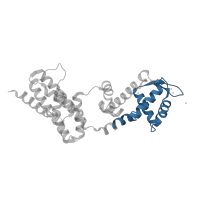 The deposited structure of PDB entry 4z30 contains 1 copy of Pfam domain PF21206 (Roquin 1/2-like, ROQ domain) in Roquin-2. Showing 1 copy in chain A.