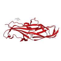 The deposited structure of PDB entry 4z3g contains 2 copies of CATH domain 2.60.40.1370 (Immunoglobulin-like) in PapG carbohydrate-binding domain-containing protein. Showing 1 copy in chain A.