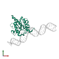 G/T mismatch-specific thymine DNA glycosylase in PDB entry 4z7z, assembly 1, front view.