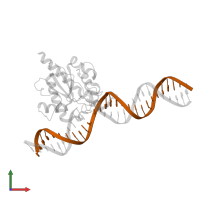 DNA (28-MER) in PDB entry 4z7z, assembly 1, front view.