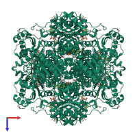 Homo dodecameric assembly 1 of PDB entry 4zav coloured by chemically distinct molecules, top view.
