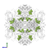 1-deoxy-1-[7,8-dimethyl-5-(3-methylbut-2-en-1-yl)-2,4-dioxo-1,3,4,5-tetrahydrobenzo[g]pteridin-10(2H)-yl]-5-O-phosphono -D-ribitol in PDB entry 4zav, assembly 1, side view.