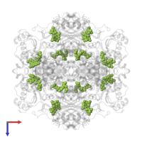 1-deoxy-1-[7,8-dimethyl-5-(3-methylbut-2-en-1-yl)-2,4-dioxo-1,3,4,5-tetrahydrobenzo[g]pteridin-10(2H)-yl]-5-O-phosphono -D-ribitol in PDB entry 4zav, assembly 1, top view.