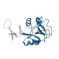 The deposited structure of PDB entry 4zet contains 2 copies of Pfam domain PF00059 (Lectin C-type domain) in C-type lectin domain family 4 member C. Showing 1 copy in chain A.