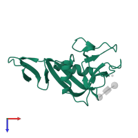 C-type lectin domain family 4 member C in PDB entry 4zet, assembly 1, top view.