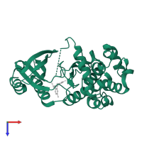 Serine/threonine-protein kinase PAK 1 in PDB entry 4zji, assembly 3, top view.