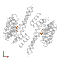 A8Ap phosphopeptide in PDB entry 4zq0, assembly 1, front view.