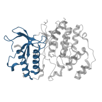 The deposited structure of PDB entry 4zsg contains 1 copy of CATH domain 3.30.200.20 (Phosphorylase Kinase; domain 1) in Mitogen-activated protein kinase 7. Showing 1 copy in chain A.