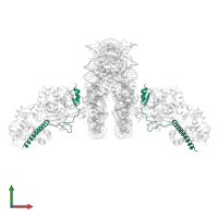 SAGA-associated factor 11 in PDB entry 4zux, assembly 1, front view.