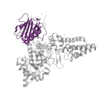 The deposited structure of PDB entry 4zxl contains 1 copy of Pfam domain PF02838 (Glycosyl hydrolase family 20, domain 2) in O-GlcNAcase NagJ. Showing 1 copy in chain B [auth A].