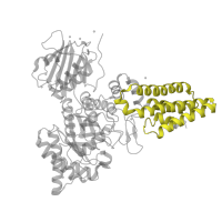 The deposited structure of PDB entry 4zxl contains 1 copy of Pfam domain PF21774 (Hyaluronidase post-catalytic domain-like) in O-GlcNAcase NagJ. Showing 1 copy in chain B [auth A].