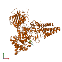 Hetero dimeric assembly 1 of PDB entry 4zxl coloured by chemically distinct molecules, front view.
