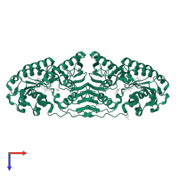 Glucose-fructose oxidoreductase in PDB entry 5a02, assembly 1, top view.