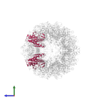 Proteasome subunit beta type-5 in PDB entry 5a0q, assembly 1, side view.