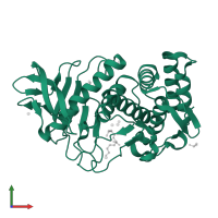 Thermolysin in PDB entry 5a3y, assembly 1, front view.