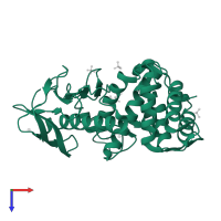 Thermolysin in PDB entry 5a3y, assembly 1, top view.