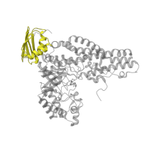 The deposited structure of PDB entry 5a6b contains 3 copies of Pfam domain PF18229 (N-acetyl-beta-D-glucosaminidase N-terminal domain) in Glycosyl hydrolase-related protein. Showing 1 copy in chain B.