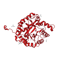 The deposited structure of PDB entry 5a8o contains 1 copy of CATH domain 3.20.20.80 (TIM Barrel) in Glycoside hydrolase family 5 domain-containing protein. Showing 1 copy in chain A.