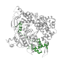 The deposited structure of PDB entry 5a9j contains 4 copies of Pfam domain PF20470 (Helix-turn-helix domain) in DNA polymerase theta. Showing 1 copy in chain A.