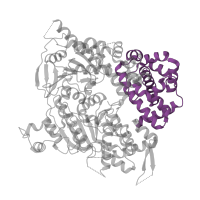 The deposited structure of PDB entry 5a9j contains 4 copies of Pfam domain PF21099 (DNA_pol_Q helicase like region helical domain) in DNA polymerase theta. Showing 1 copy in chain A.