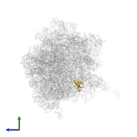 Large ribosomal subunit protein uL13 in PDB entry 5a9z, assembly 1, side view.