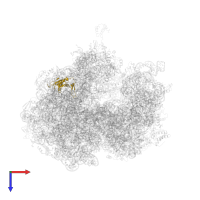 Large ribosomal subunit protein uL13 in PDB entry 5a9z, assembly 1, top view.