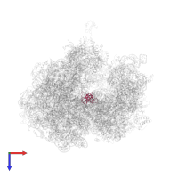 Large ribosomal subunit protein uL14 in PDB entry 5a9z, assembly 1, top view.