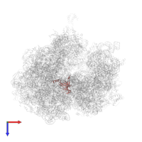 Large ribosomal subunit protein bL19 in PDB entry 5a9z, assembly 1, top view.