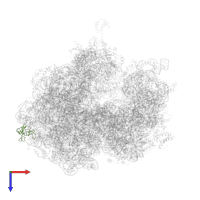 Large ribosomal subunit protein uL24 in PDB entry 5a9z, assembly 1, top view.