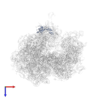 Large ribosomal subunit protein bL25 in PDB entry 5a9z, assembly 1, top view.