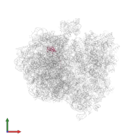 Large ribosomal subunit protein bL27 in PDB entry 5a9z, assembly 1, front view.