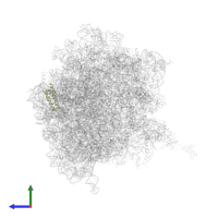 Large ribosomal subunit protein uL29 in PDB entry 5a9z, assembly 1, side view.